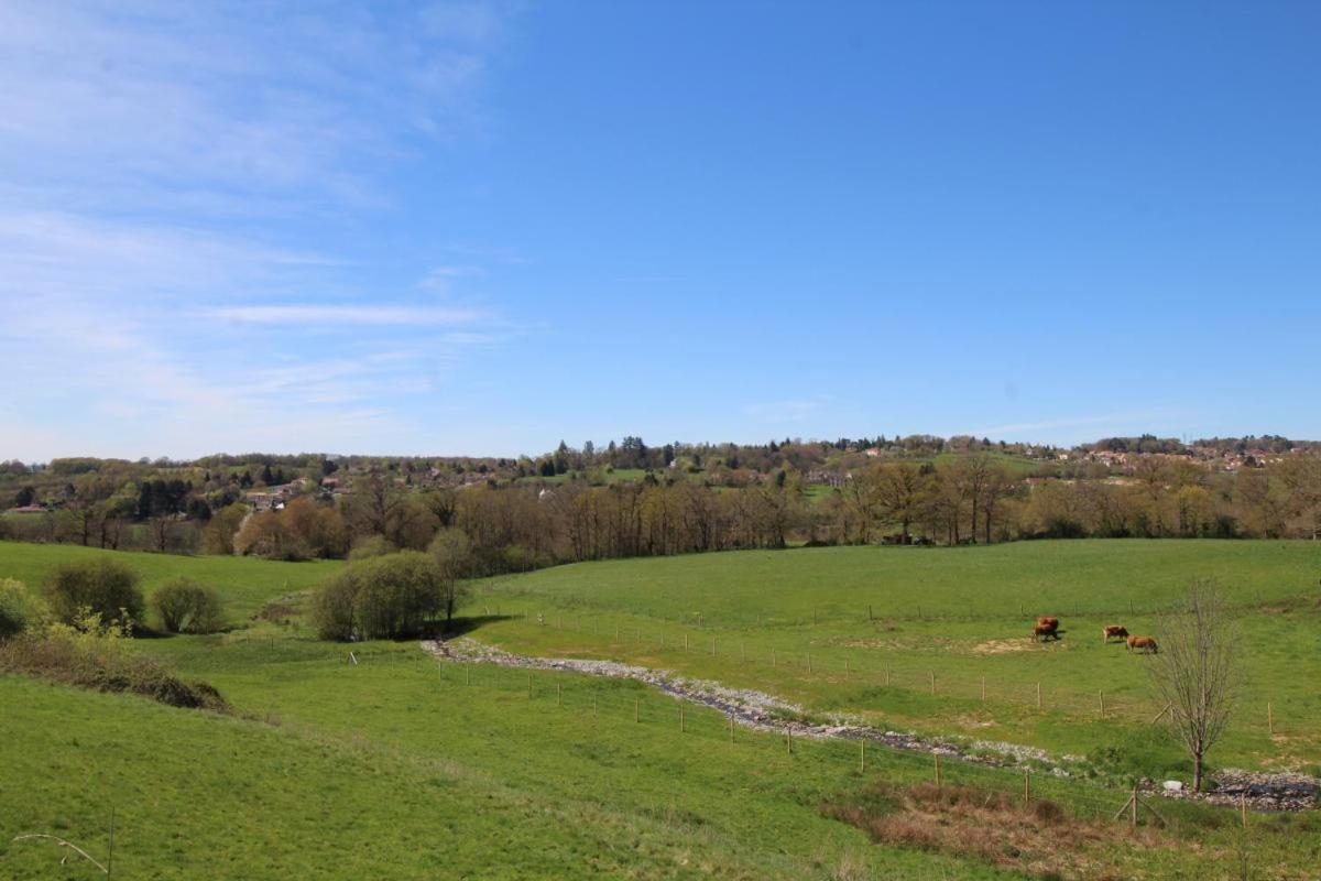הוילה Condat-sur-Vienne Chez Le Bayle מראה חיצוני תמונה